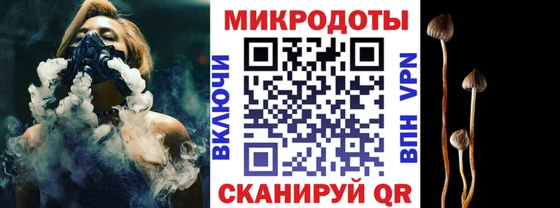 Псилоцибиновые грибы GOLDEN TEACHER  купить наркотик  Пудож 